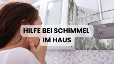 Hilfe bei Schimmel im Haus